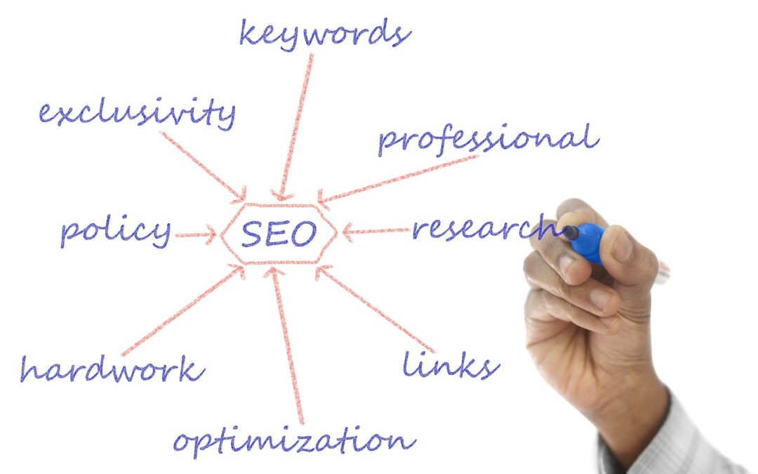 Mastering SEO: Is It a Marathon or a Sprint? IM Powerhouse Has the Answer